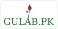 Gulab.pk
