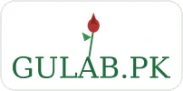 Gulab.pk